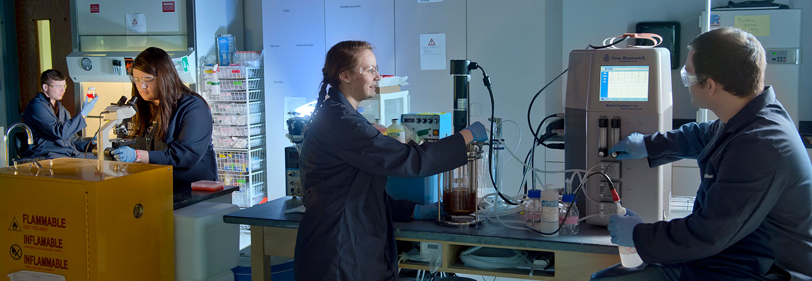 Students in lab