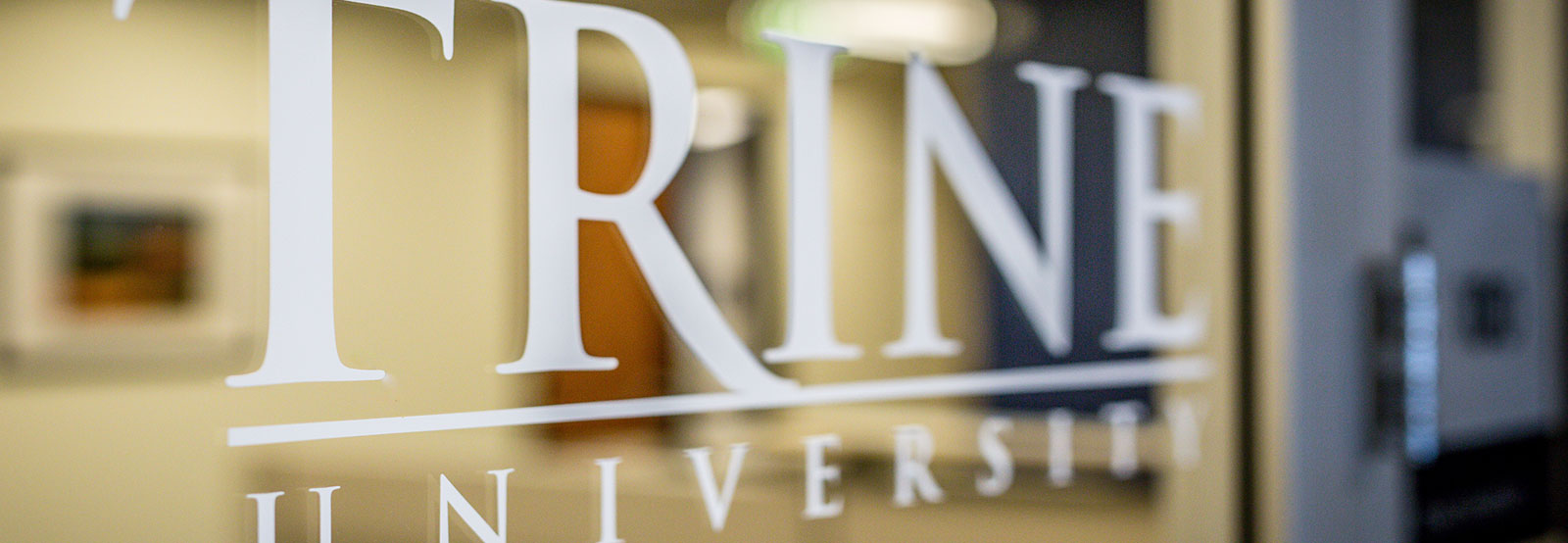 Trine University Window