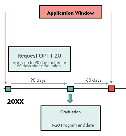 opt timeline