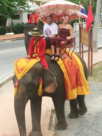 elephant