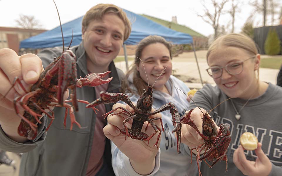 Crawfish boil