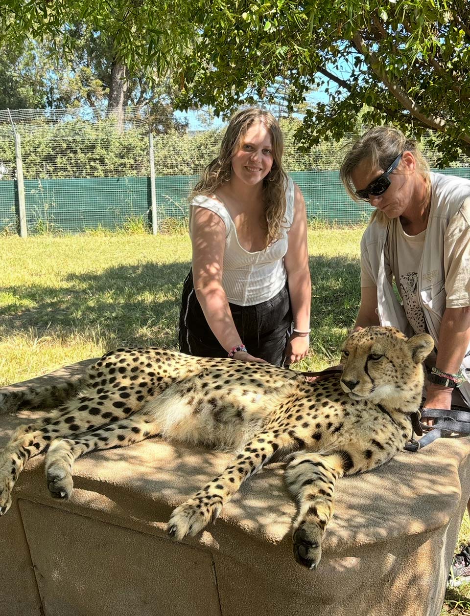 Mackenzie Rosenau petting a cheetah in South Africa