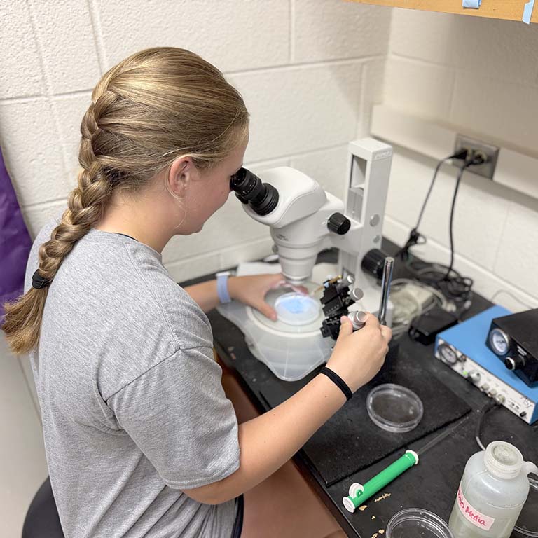 Female student looking through microscope