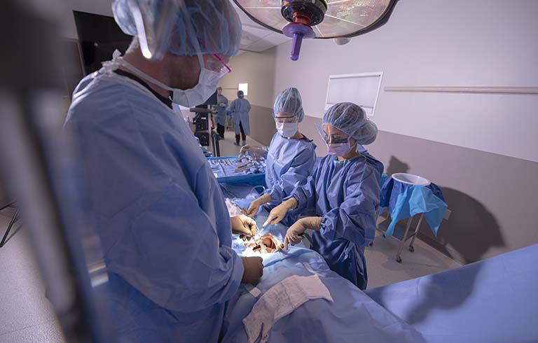 Students in surgical garb working around an operating table