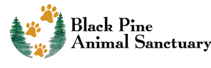 Black Pine Animal Sanctuary